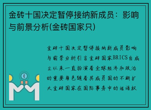 金砖十国决定暂停接纳新成员：影响与前景分析(金砖国家只)