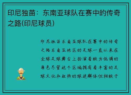印尼独苗：东南亚球队在赛中的传奇之路(印尼球员)