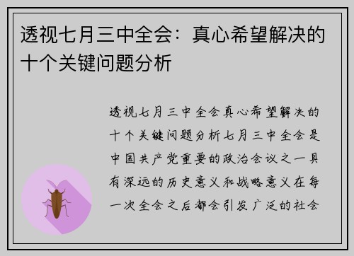 透视七月三中全会：真心希望解决的十个关键问题分析