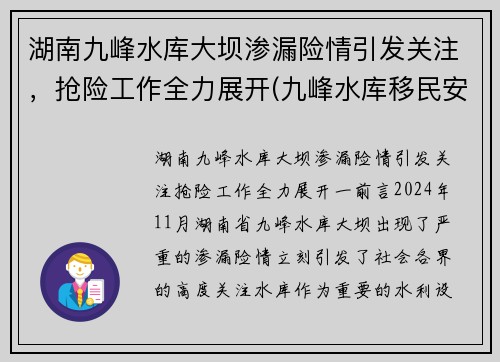 湖南九峰水库大坝渗漏险情引发关注，抢险工作全力展开(九峰水库移民安置政策)